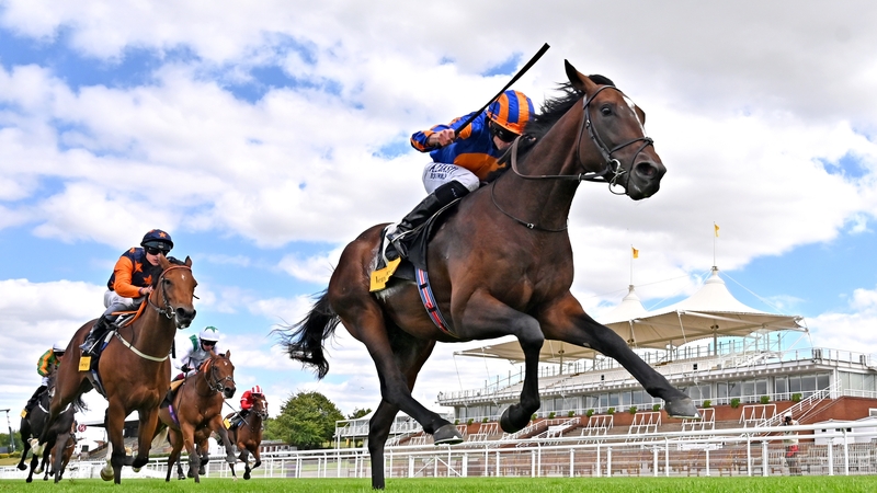 Battleground is one of three Aidan O'Brien horses in the field