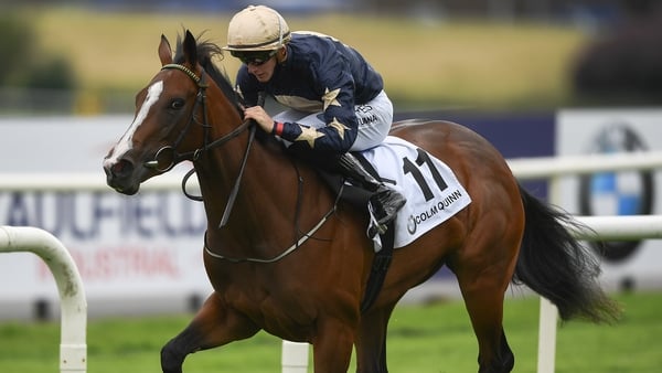 Champers Elysees is unbeaten in three races this season