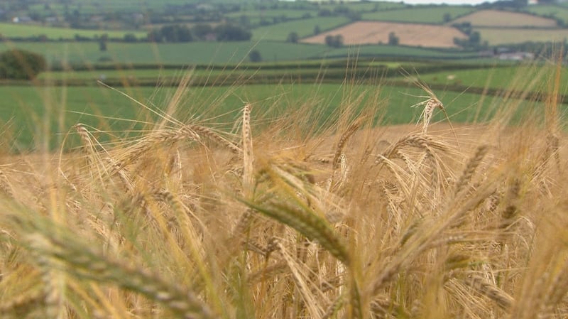 The ACRES (Agri-Climate Rural Environment Scheme) is a Government-run agri-environment climate scheme that incentivises farmers to improve biodiversity on their lands