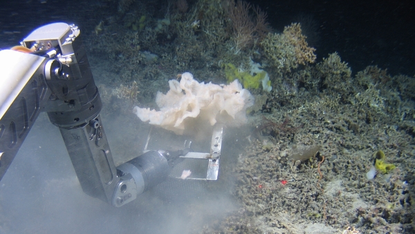 FACT: Only 20% of the sea bed is mapped.