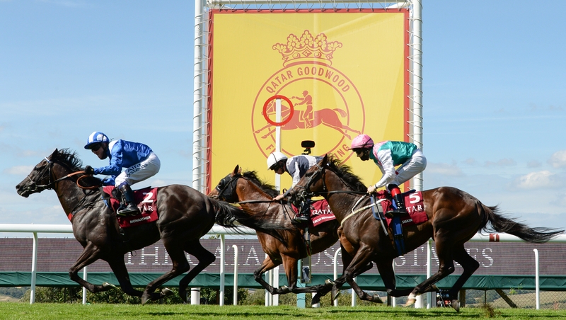 Mohaather ridden by Jim Crowley (L) pipped Circus Maximus (C) and Siskin to the line