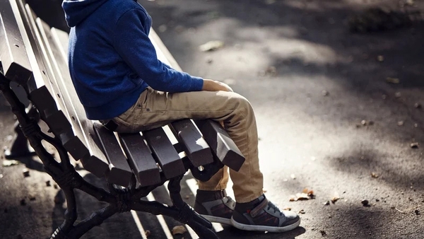 Approximately 25% of students in Ireland are estimated to have special educational needs