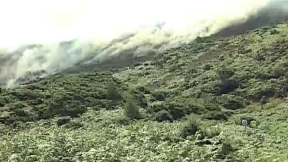 Sugarloaf Fire (1995)