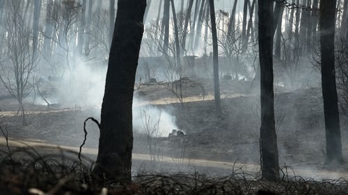 The fire erupted in Chiberta forest park in southern France yesterday