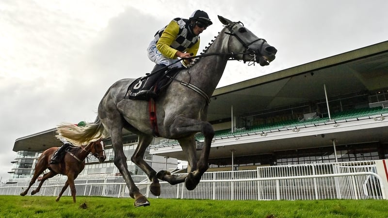 Great White Shark wins in the hands of Paul Townend