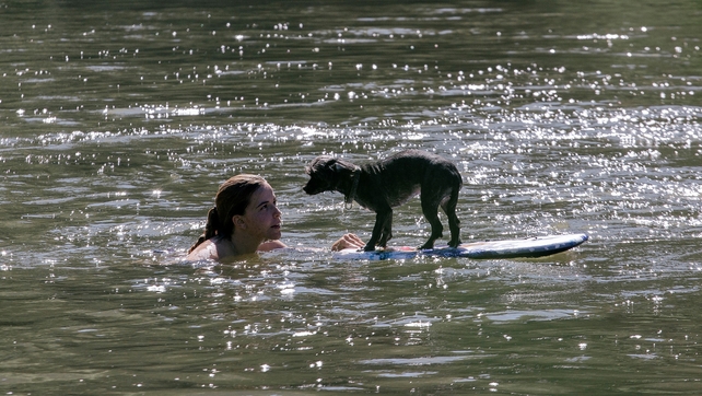 A woman swims with her dog in the waters of the Nisava river in eastern Serbia