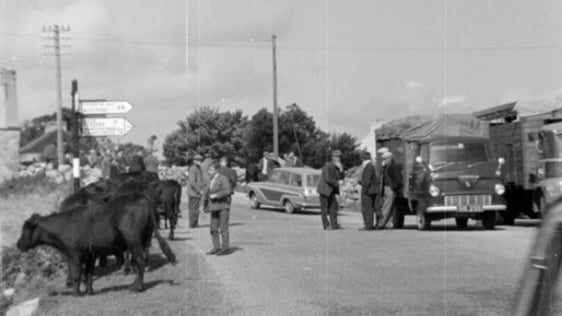 Casla Market, Galway (1965)