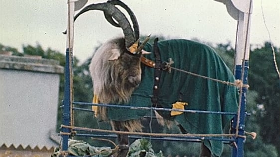King Puck (1975)