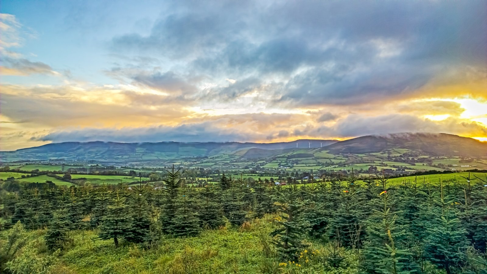 The hills of Toomevara in County Tipperary, where locals were hired to do the "dirty work" of eviction