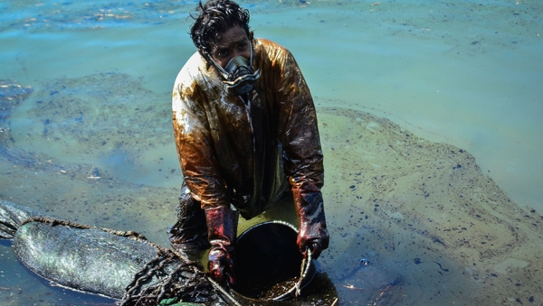 Hundreds of volunteers, many smeared head-to-toe in black sludge, are marshalling along the coastline