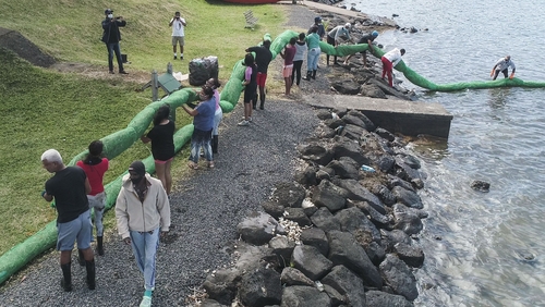 Volunteers carry a handmade oil barrier to block leaked oil from the MV Wakashio in Mauritius