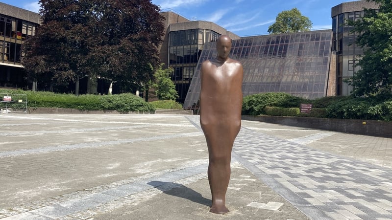 A proposal to investigate the feasibility of locating the School of Medicine to a redeveloped city campus, has been brought to UL's governing authority