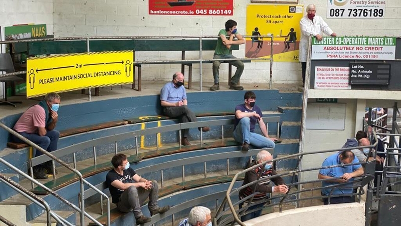 Buyers only will be allowed attend marts and must maintain 2-metre distance in mart rings