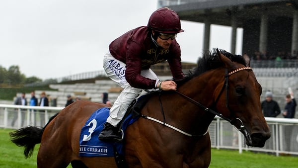 Know It All is back in action at the Curragh