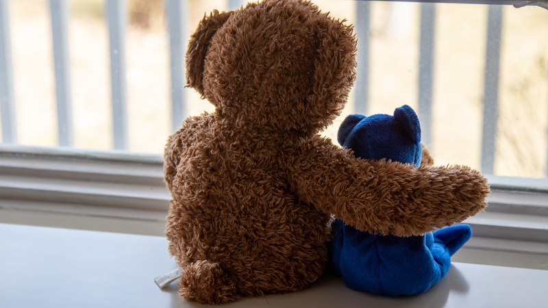 UCD School of Psychology are running a series of free webinars for parents and teachers to give them the tools to help young people.