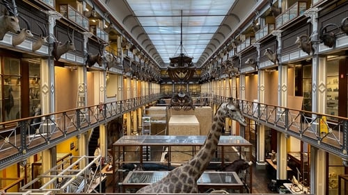 Entry to the museum is free but visitors will need to book their tickets in advance (File pic)