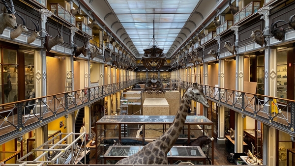 Entry to the museum is free but visitors will need to book their tickets in advance (File pic)