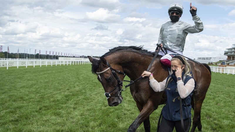 It was a fifth win from as many starts for Palace Pier