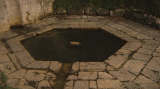 Thermal spa well, Leixlip, County Kildare (1980)
