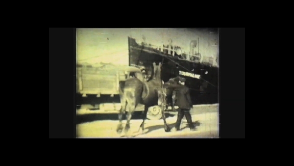 Filmed on a Super 8 camera, the footage shows the workings of the port at the time