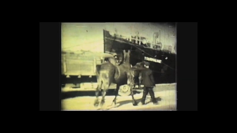 Filmed on a Super 8 camera, the footage shows the workings of the port at the time