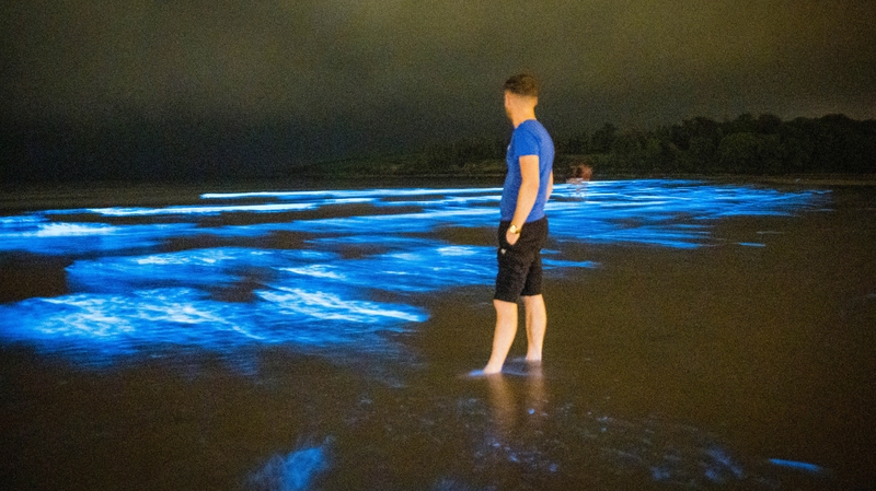 The spectacle took place at Fountainstown beach in Co Cork