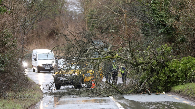 The public have been advised to stay away from any fallen power lines (File pic)