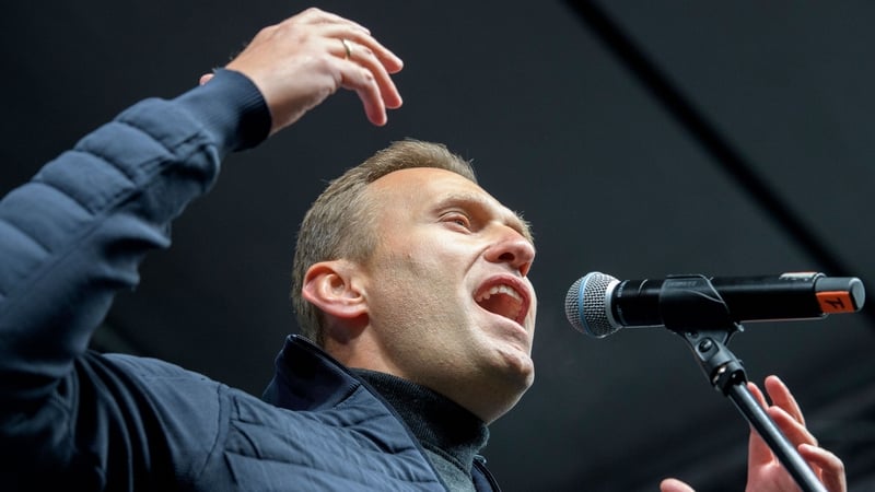 Alexei Navalny fell ill while on a plane, which then made an emergency landing