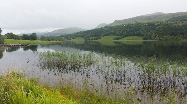 Historic Find at Glencar Lake: "It's just the density of material