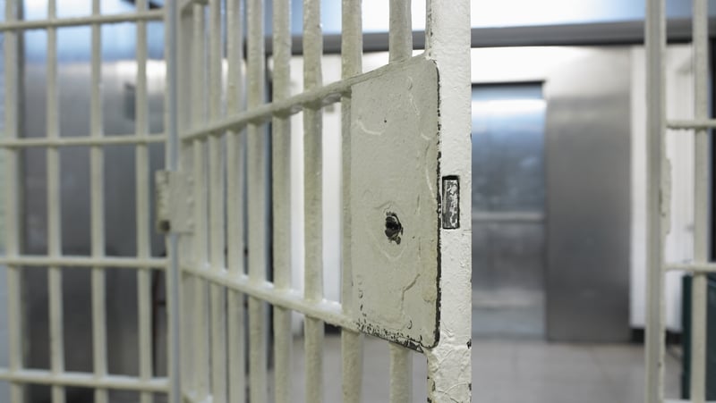 the Joint Committee on Justice is exploring the rehabilitation opportunities available to offenders (File image)
