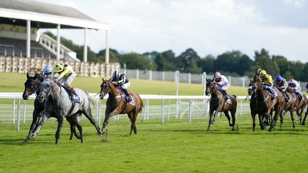 Fujaira Prince has now won five of his eight lifetime starts