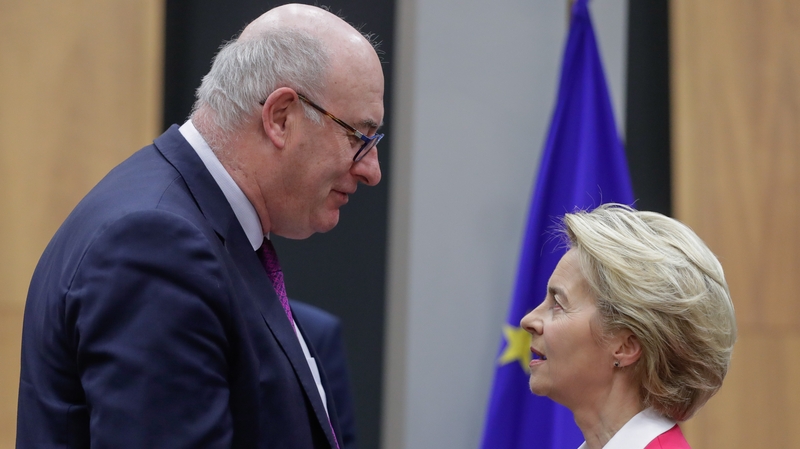 Phil Hogan offered his resignation during one of several conversations with Ursula von der Leyen (file image)