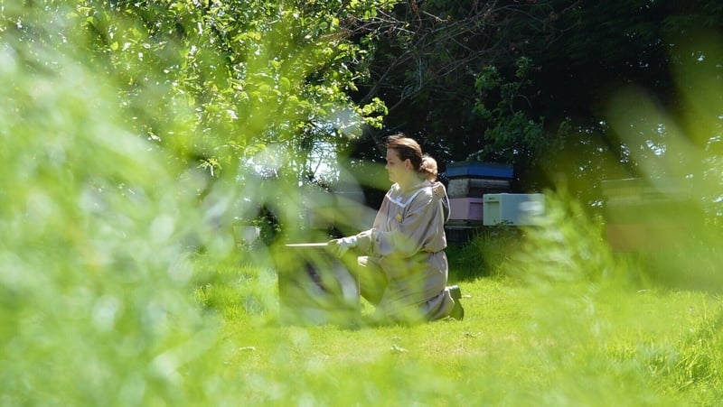 Trish O'Neill loves her bees despite being allergic to their sting.