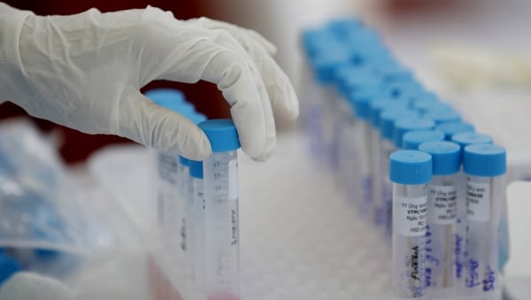 There were 772 positive cases in Co Cavan in the last two weeks