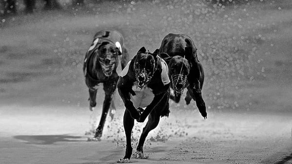 Documentary On One - meet the men who beat the bookies