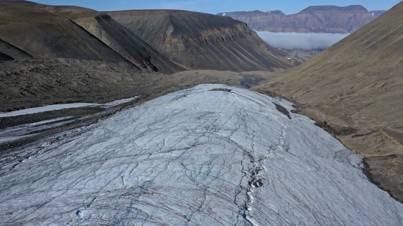 Shrinking Arctic ice sheet is reducing the amount of space polar bear can roam on