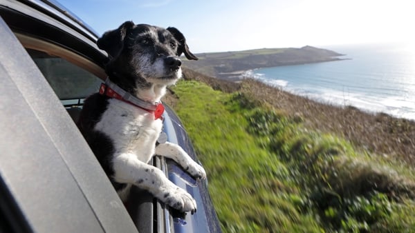 Keeping an eye out for that virus... Photo: Getty Images