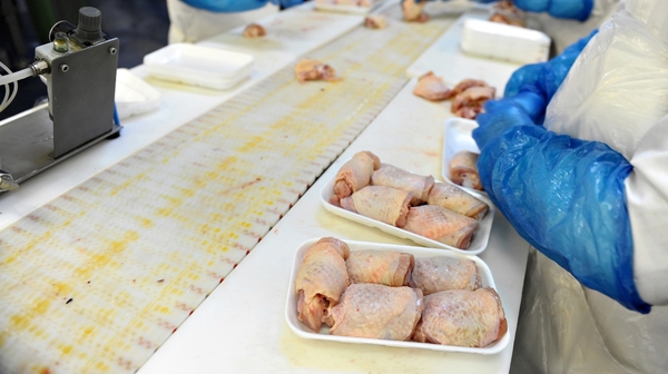 Meat Plant Workers: "We have to take care of ourselves, because t