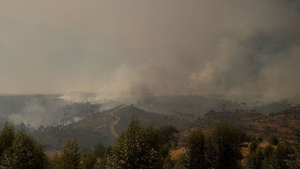 The El Buitron fire has ravaged some 10,000 hectares