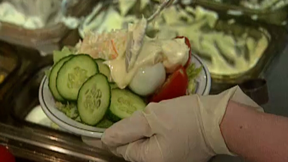 Survey of Sensible Eating (1995)