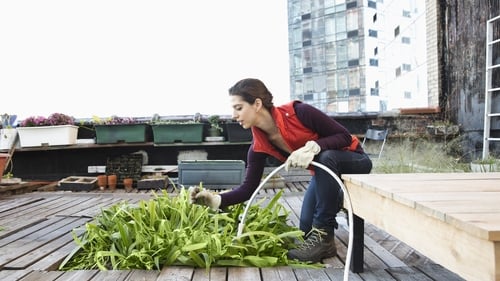 "With more people wanting organic produce that is grown and distributed with a low carbon footprint, growing and raising urban food is slowly becoming an integral part of our towns and cities"