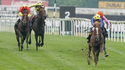 Dream Of Dreams was an impressive winner of the Hungerford Stakes on his most recent outing
