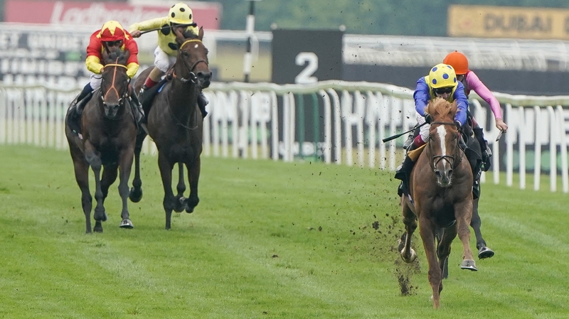 Dream Of Dreams was an impressive winner of the Hungerford Stakes on his most recent outing