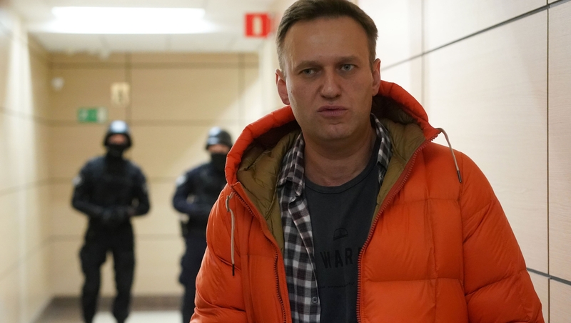 Alexei Navalny fell ill on a flight in August