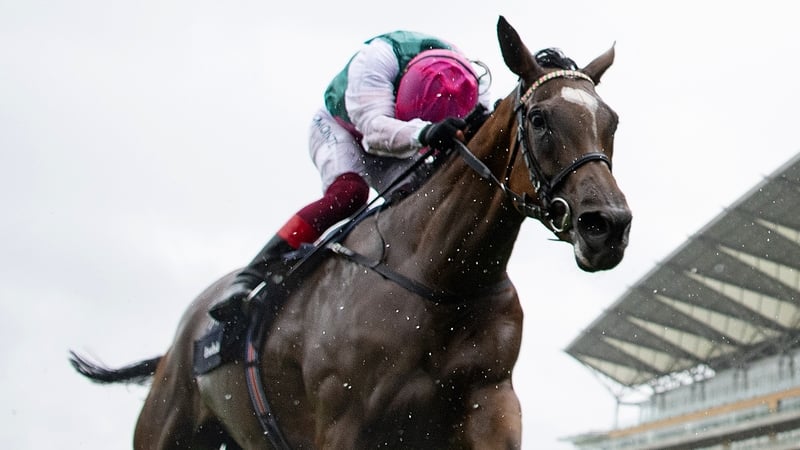 Enable is chasing a third Prix de l'Arc de Triomphe