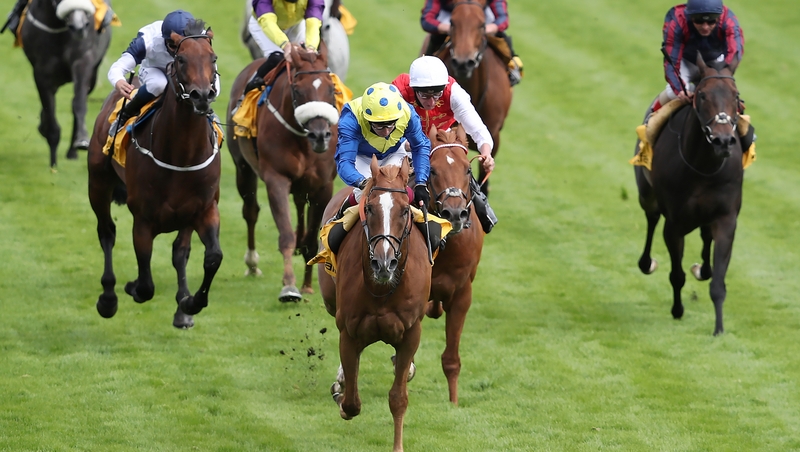 Oisin Murphy leads Dream of Dreams home in the Sprint Cup