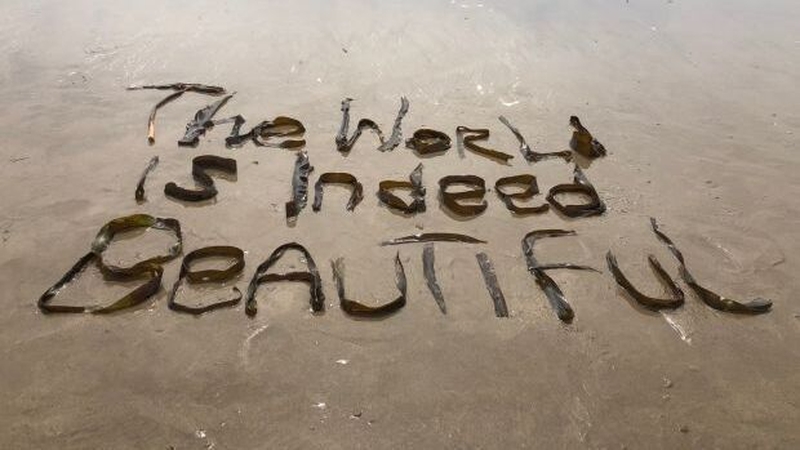 Detail from "The world is indeed beautiful". by Vivienne Roche and Sebastian Barry