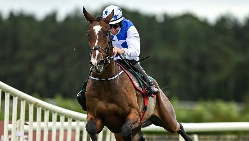 Get Rich Die Plyin, with Jack Kennedy up, jumps the last on their way to winning at Punchestown