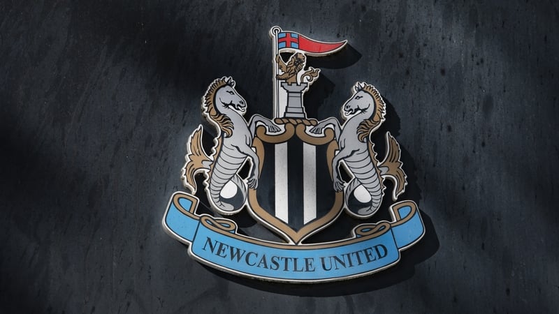 Mike Ashley remains the owner of Newcastle United