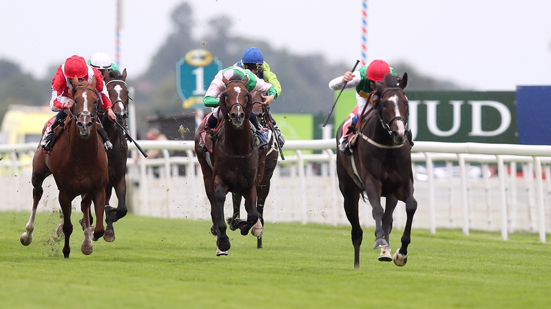 Pyledriver was an impressive winner of the Great Voltigeur on his most recent outing